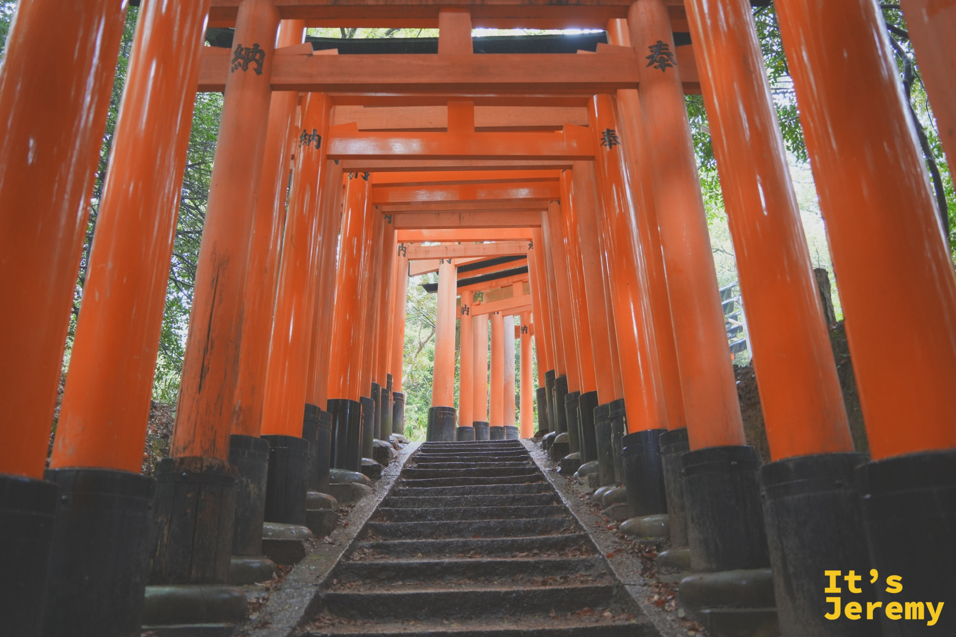 石階版千本鳥居，從低角度仰望，鳥居一路延伸到山上
