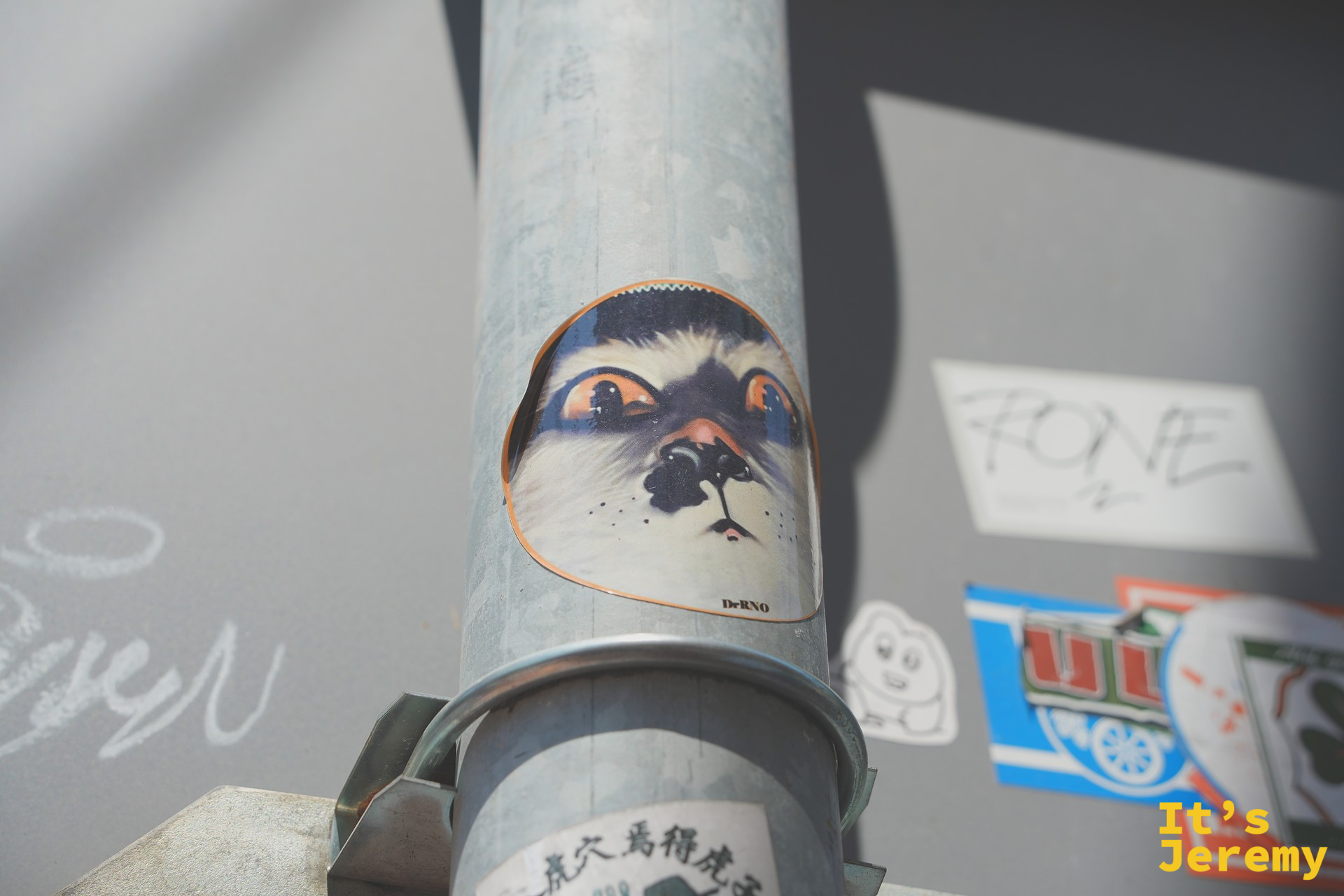 另一張燈柱上的貓臉貼紙，老城區的街頭塗鴉文化散在各種角落