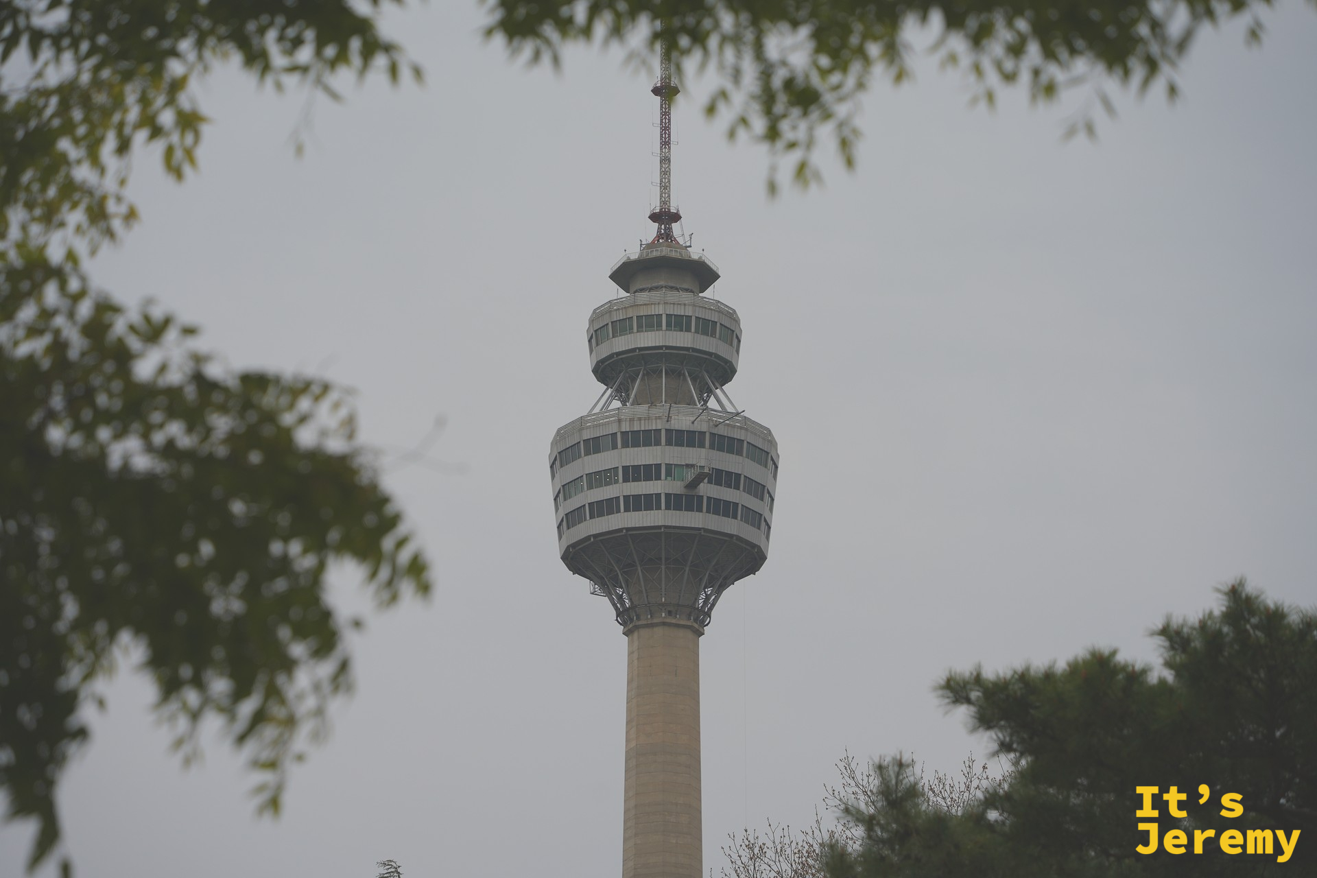 多雲天空下的 83 塔遠景,兩側綠葉從畫面上下方框住塔身