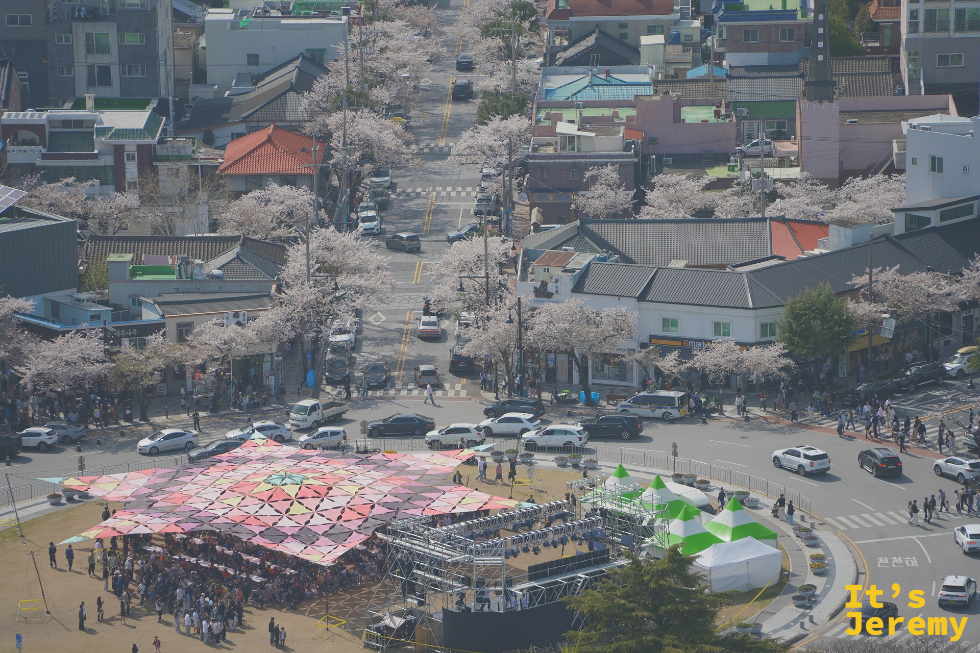 從鎮海塔頂俯瞰軍港祭活動廣場,彩色帳篷與街道之間穿插著成排粉白櫻花,人群在花道中移動如細流